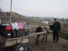 Donkey Cart at the Uzbek and Tajik Border